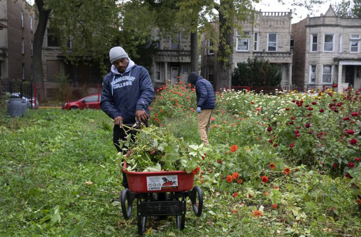 Englewood Flower Farm